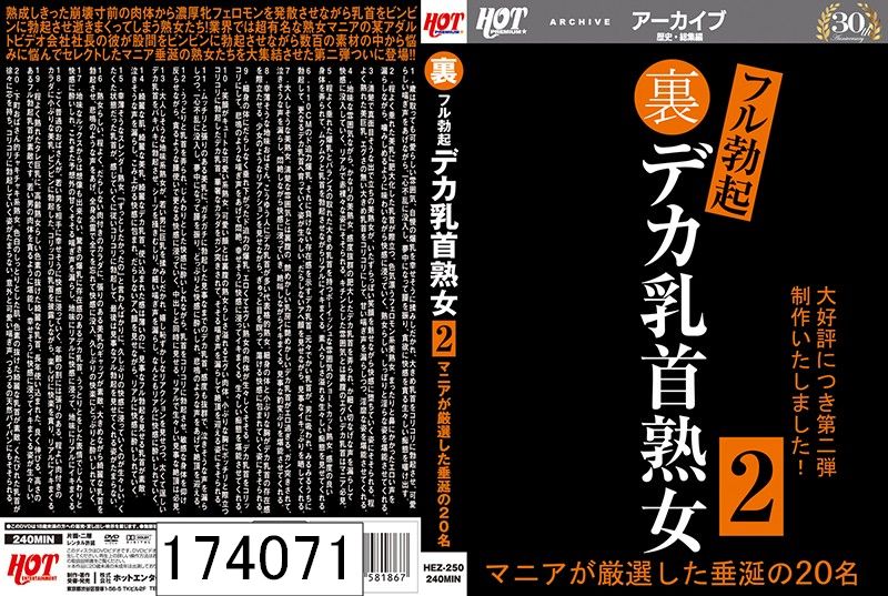 裏フル勃起デカ乳首熟女2 マニアが厳選した垂涎の20名