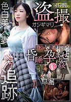 つけ回し盗撮 巨乳人妻連れ去り昏●孕ませ●姦